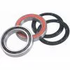 Campagnolo® Campagnolo Powertorque Bearing Kit - Pair