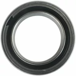 Enduro Bearings ABEC5 61803 SRS Bearing
